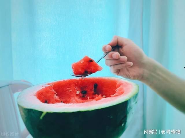 深圳 吃瓜,瓜界风云，品味这座城市的独特魅力