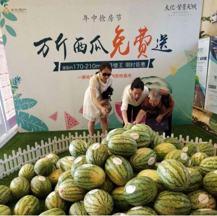 龙城总部吃瓜,揭秘吃瓜背后的职场风云