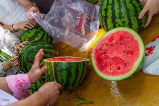 吃瓜视频 安师大,吃瓜视频中的校园风云录