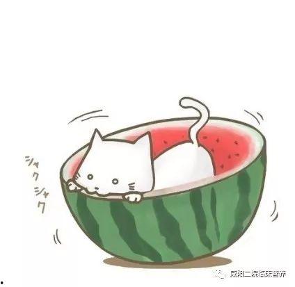 qq头像男夏日吃瓜,QQ头像男生共享清凉吃瓜瞬间