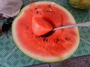 在日本请人吃瓜,从请人吃瓜开启的味蕾盛宴