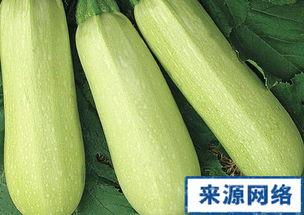 孕妇可以吃的白瓜,白瓜的养生与美味