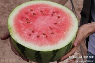 奶音吃瓜,揭秘娱乐圈幕后故事