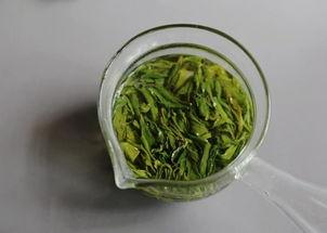 吃瓜盟主说茶,吃瓜盟主带你领略茶香四溢的茶文化之旅