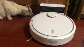 邻居吃瓜扫地,见证邻居扫地吃瓜的温馨日常