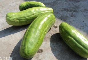 养生脆瓜怎么吃,多款美味吃法，健康生活新选择