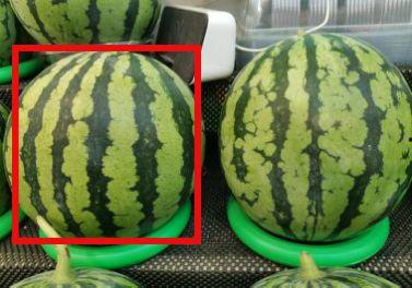 拍吃瓜,拍吃瓜，揭秘明星幕后故事