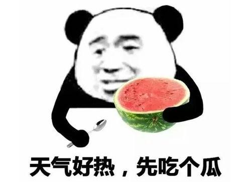 吃瓜表情怎么描写,吃瓜表情背后的趣味与深思